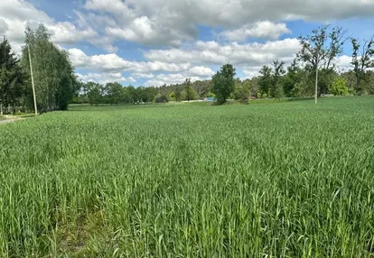 Działka na sprzedaż 1000m2