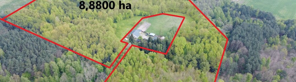 Działka rolno leśna w pobliżu lipna