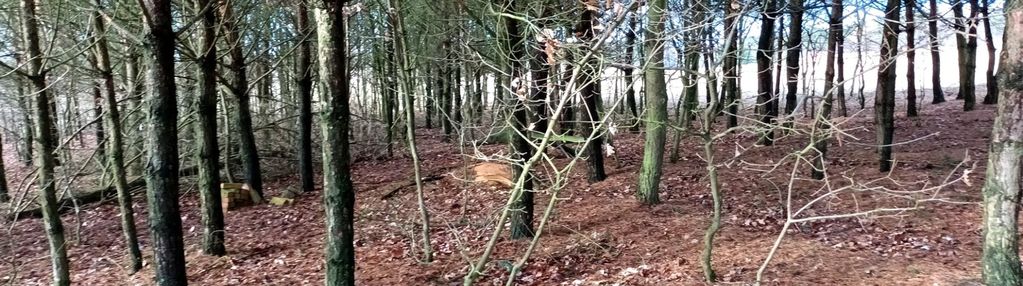 Jania góra-siedlisko 1,16ha remont lub wyburzenie