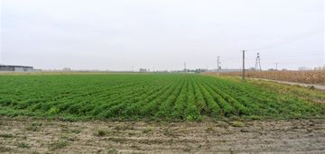 Działka 3 ha, mpzp, ożarów maz.
