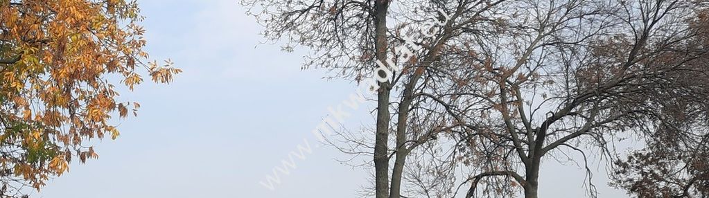 Działka przemysłowa w dobrej lokalizacji