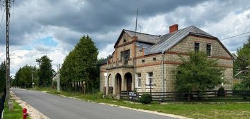 Pół bliźniaka w narewce