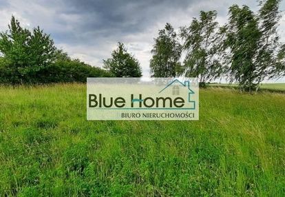 Duża działka z warunkami zabudowy blisko torunia !