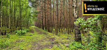 Działka leśna 1,92 ha w strzegomku koło rytwian