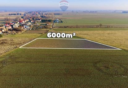 Okazja cenowa! duża działka - chocianowiec