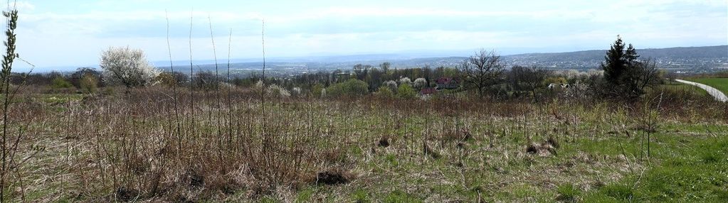 Zelków! widokowa działka budowlana 30 ar