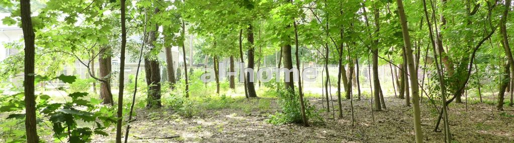 Działka leśna -inwestycja, warszawa-wawer