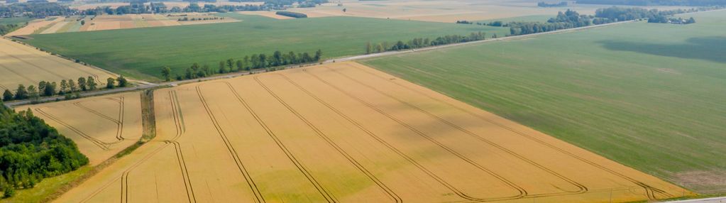Działka inwestycyjna bielsk podlaski - 71500 m2!