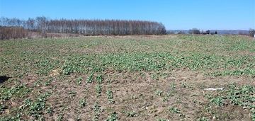 Gmina liszki projekt na 40 budynków