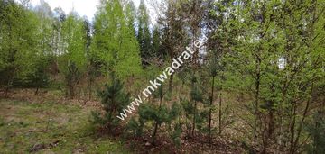 Piękna działka otoczona lasem, czarny las 2497m2