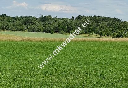 Wyjątkowa działka rolna do podziału na budowlane!