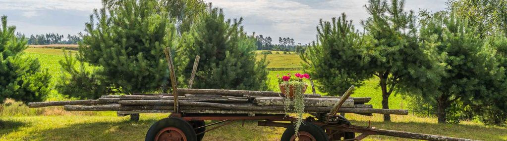 Gospodarstwo agroturystyczne na kaszubach