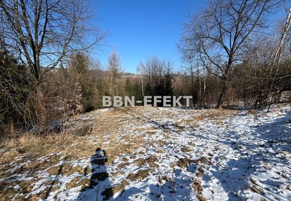 Świnna-powiat żywiecki