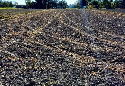 Działka na sprzedaż 2600m2