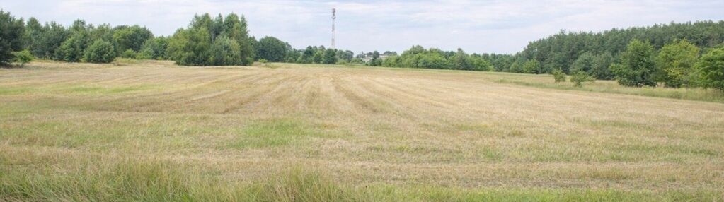 Działka 3000 m² ruda k. radzymina mpzp media