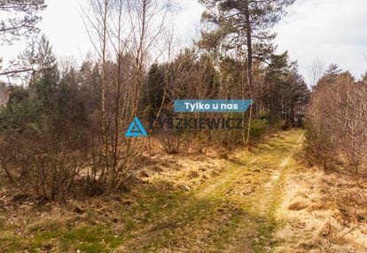 Działka leśna