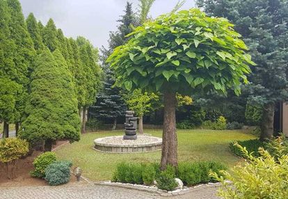 Piękny dom na sprzedaż_urokliwe miejsce_węgry.