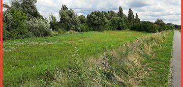 Działka w żninie blisko jeziora dużego