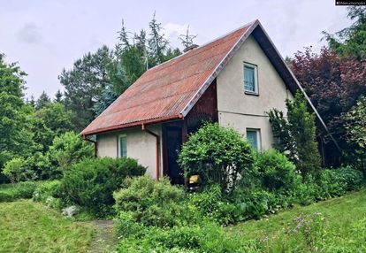 Dom wolnostojący, jerzyska