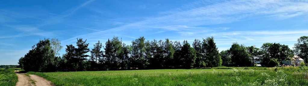 Doskonały  dojazd do trzebnicy i wrocławia