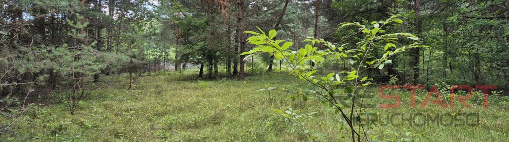 Działka budowlana 1500 m²!  marynin! drzewa