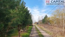 Działka budowlana 1150m2 wąsy - kolonia / zaborów