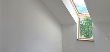 Cieplice zielone tarasy - zagajnik