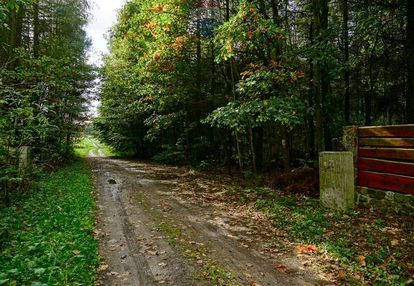 Działka budowlana 1701m2 na sprzedaż, waleriany