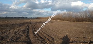 Wyjątkowy teren w milanówku