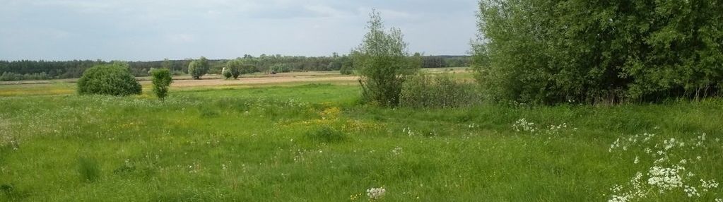 Działka 918 m², plan miejscowy, asfaltowy dojazd