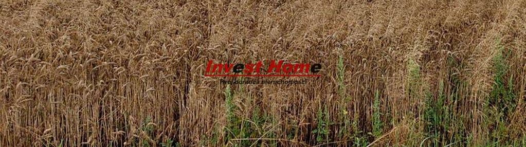 ✅piękna i spokojna działka żory kleszczów 875m2✅