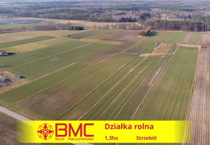 Działka 1,36ha strzebiń pod rolę, farmę i inne w/z