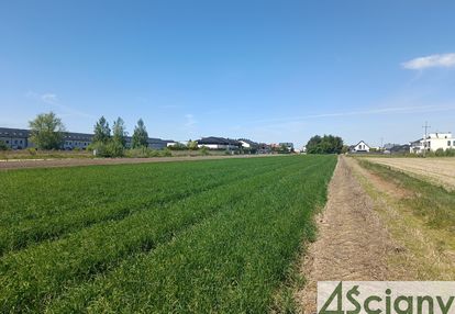 Zgorzała, cicha, ustawna mpzp