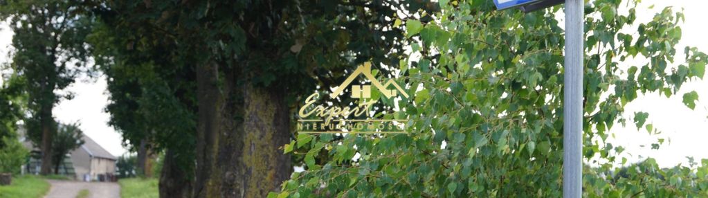 Na sprzedaż gospodarstwo rolne- laseczno.