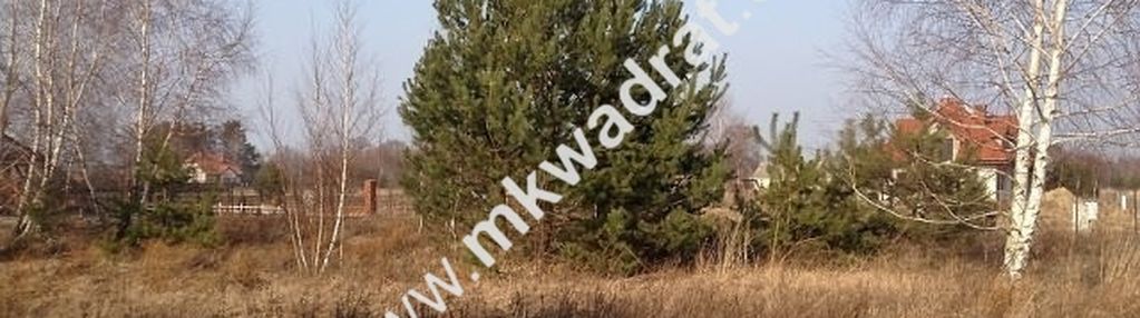 ⭐⭐⭐⭐  super działka z mediami rusiec  ⭐⭐⭐⭐