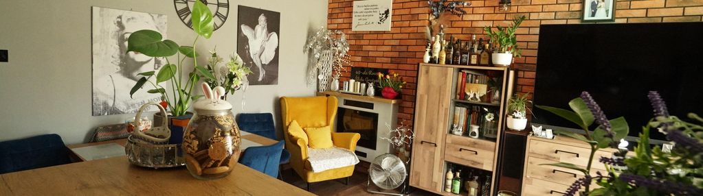 Słoneczne mieszkanie w centrum miasta