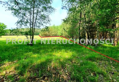 Działka w otulinie lasu opodal jeziora lubowidz