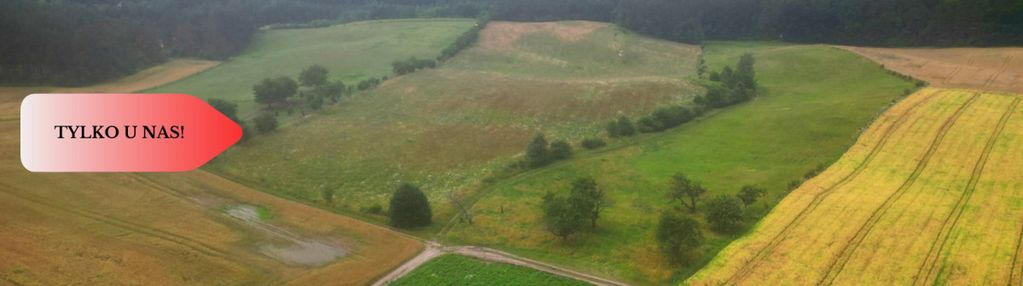 Siedlisko z warunkami zabudowy
