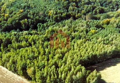Las i grunty na sprzedaż gnojnica, gmina ropczyce | 1,58 ha |