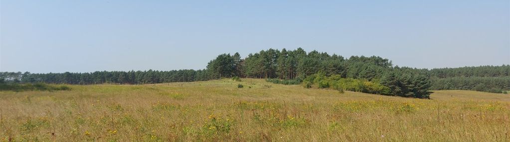 Inwestycyjna działka pod zabudowe produkcyjną