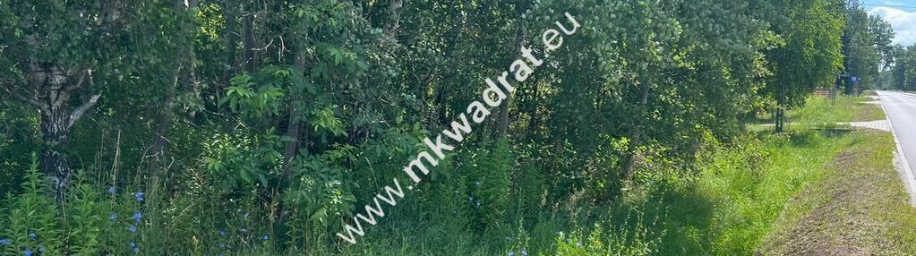 Działka budowlana 6577 m2 radonie z mpzp