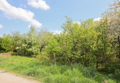 Działki w tarnowie na osiedlu koszyckim