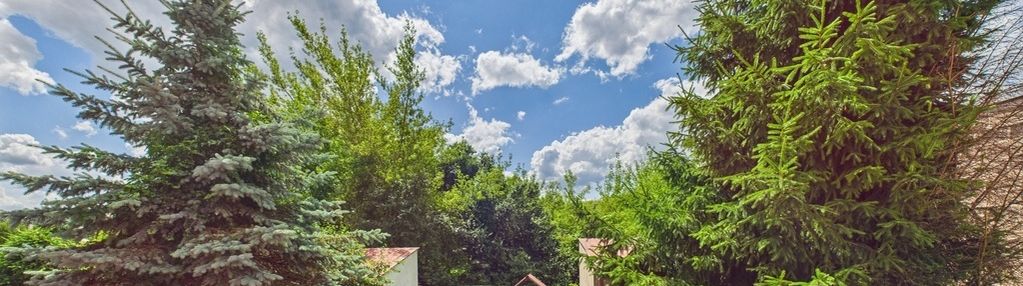 Dom - twój azyl w malowniczym augustowie!