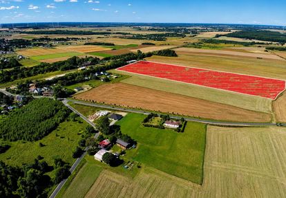Teren inwestycyjny 4,1 ha i dygowo | 31 działek | 5 km od morza