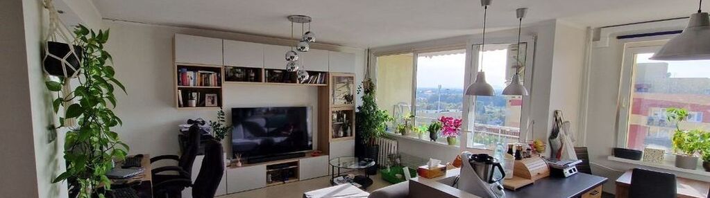 Okolice ul. grodeckiej winda/rozkład/balkon
