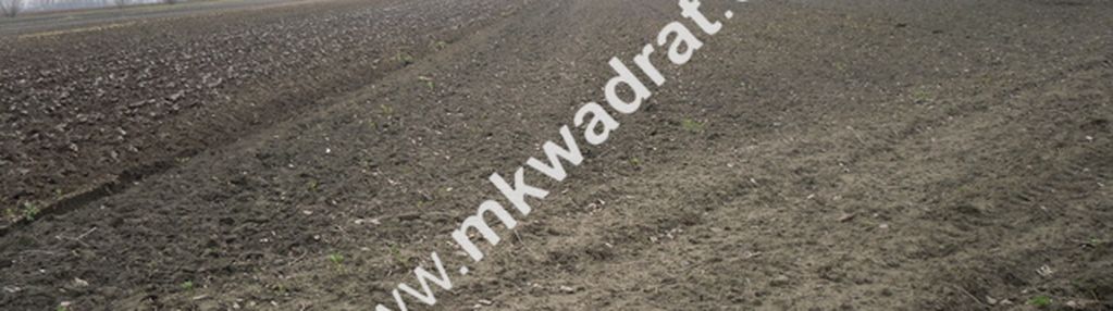 Atrakcyjna działka w płochocinie.