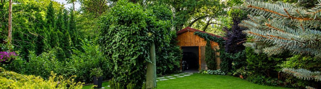 2 pokoje do wynajęcia | mieszkanie 110 m² | ogród