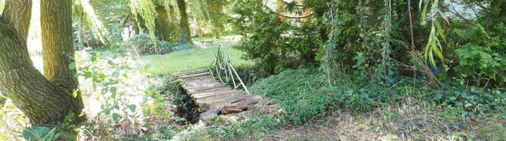 Malownicze siedlisko dom 90 m2 działka 0,50 ha