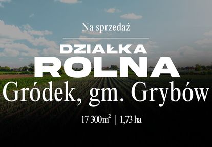 Działka rolna 1,73 ha w gm. grybów