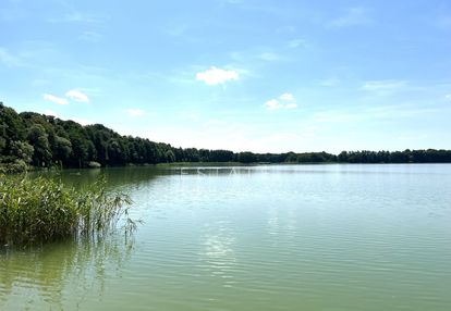 Piękna działka w urokliwym miejscu